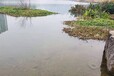 无锡城市河道湖泊水体无机矿物净化剂