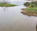 無錫城市河道湖泊水體無機礦物凈化劑