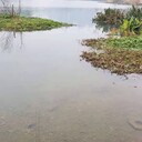 樂(lè )山水環(huán)境治理工程復合微生物菌劑