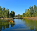 通化湖泊河道水質調控型微生物環境修復劑