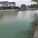 东莞水生态河道底质改良型环境修复剂