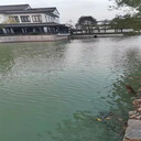 北京河道水質(zhì)調(diào)節(jié)微生物環(huán)境修復(fù)劑