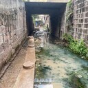 宜昌河道原位底泥生態(tài)修復(fù)工程技術(shù)