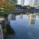 北京河道重金屬修復(fù)微生物底泥固化劑
