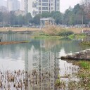 溫州河道底泥生物固化技術(shù)固液分離劑