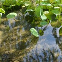 長沙城市河道治理工程生物固化劑