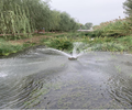 南充河道水生態修復底泥固化復合微生物