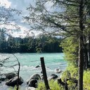 重慶河道底泥生物固化技術光合復合菌