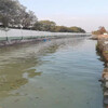 常州河道水體修復物化凝聚復合劑