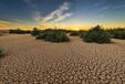 运城水土流失沙漠化治理土壤团粒结构改良剂销售