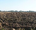 潍坊生态环境修复工程微生物盐碱土壤修复剂