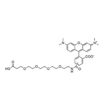 一种TAMRA红色荧光染料连接剂TAMRA-PEG4-acid1909223-02-4