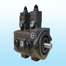 VP-DF-20A/12A油冷机Polnt油泵图片