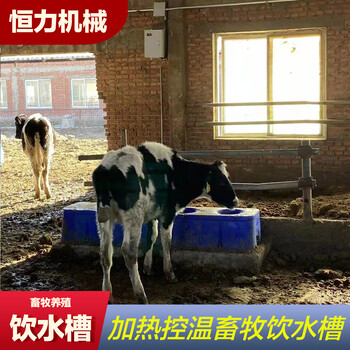 畜牧饮水设备6孔保温饮水器牛用电加热恒温饮水槽