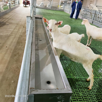 恒力养殖设备羊用不锈钢饮水槽自动上水加热保温喝水槽