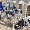 養牛設備初生犢牛立飼養欄恒力聚乙烯材質犢牛島生產