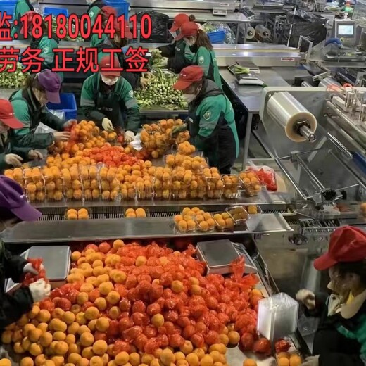 来宾出国劳务公司蔬菜种植工搬运工年薪40万