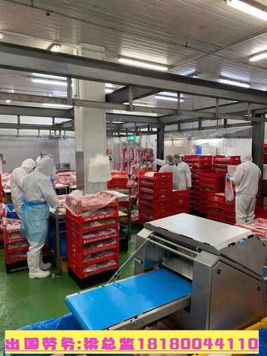 中卫中国出国正规劳务公司剪裁工力工包装入件工月薪3.5万
