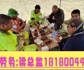 咸阳劳务派遣香港打工工程车挖掘机司机常年招工2024新推荐