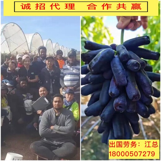 天津和平正规出国中铁劳务派遣装修-木工月薪3.5万