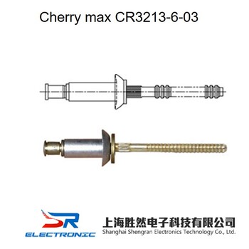 CherryMAX抽芯铆钉ASAN0077E504沉头100