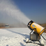 沧浪行云啸全自动造雪机小型造雪机大型造雪机雪地设施图片3