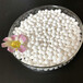 定西空分設(shè)備用活性氧化鋁原生球吸附劑3-5mm批發(fā)價格