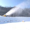 冰雪欢乐谷基础建设铺雪功率小型场地小型造雪机人工降雪基地