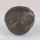 隕石.webp (3).jpg