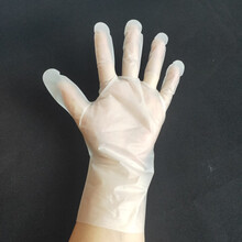 TPE手套透明色手套食品級手套家用防護手套圖片