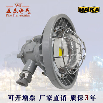 五泰電氣DGS24/127L礦用隔爆型LED巷道燈