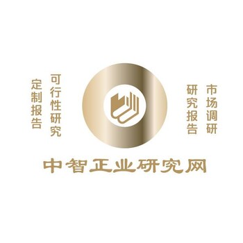 中国金红石市场竞争格局与十四五规划建议报告2022-2028年