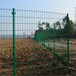 现货绿色养殖铁丝网厂家A长沙养殖铁丝网加工生产