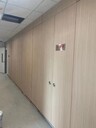 醫療潔凈板抗菌防霉裝飾板無塵車間用板