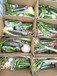 义马市蔬菜集装箱销售蒜黄销售三门峡市蔬菜年货礼盒经销水果蔬菜