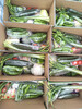 義馬市蔬菜集裝箱銷售蒜黃銷售三門峽市蔬菜年貨禮盒經銷水果蔬菜