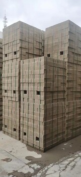 深圳厂家直供室外下水沟水利工程水泥砖硅酸盐砌墙隔断砖红砖