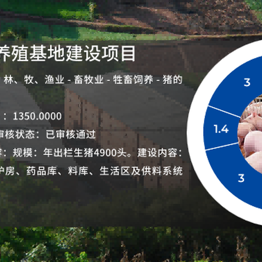 济宁可做牛蛙养殖项目可行性研究报告公司-济宁本地