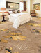 办公室地毯酒店满铺地毯耐磨圈绒工程隔音宾馆家用卧室地毯