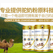 纯骆驼奶粉—纯骆驼奶—初乳配方骆驼奶粉