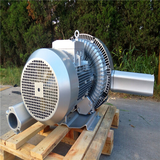 双叶轮漩涡气泵生产