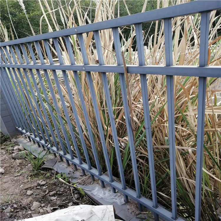 陕西-刀刺隔离网-护栏隔离网-湿地工程防护网