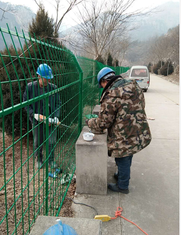 山西-仓库隔离网-南京隔离网-鱼缸隔离网