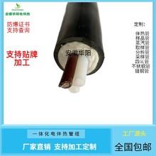 安徽华阳生产加工防爆耐腐烟气伴热采样复合管SY42-B3-6A-C-0图片