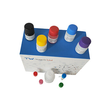 人血红素氧化酶1试剂盒_HO-1/血红素氧化酶1试剂盒