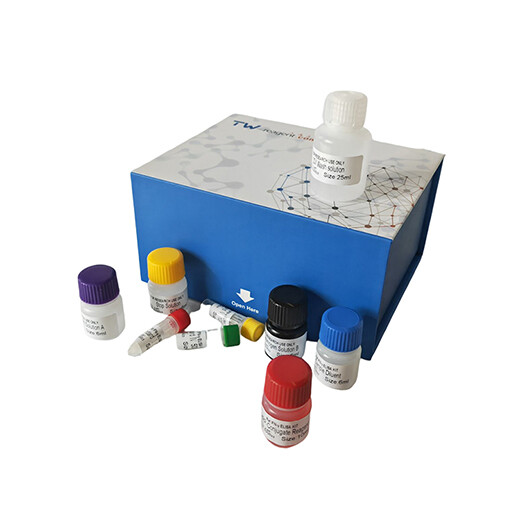 热休克蛋白-27Elisa试剂盒_HSP27试剂盒