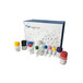 环磷酸腺苷Elisa试剂盒_cAMP试剂盒