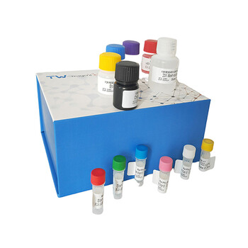 人血红素氧化酶1试剂盒_HO-1/血红素氧化酶1试剂盒