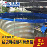 水产养鱼桶特种养殖水池高科技养鱼池鱼桶铁桶养殖水产池