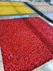 五指山彩色陶瓷顆粒防滑路面透水混凝土施工壓模地坪廠家